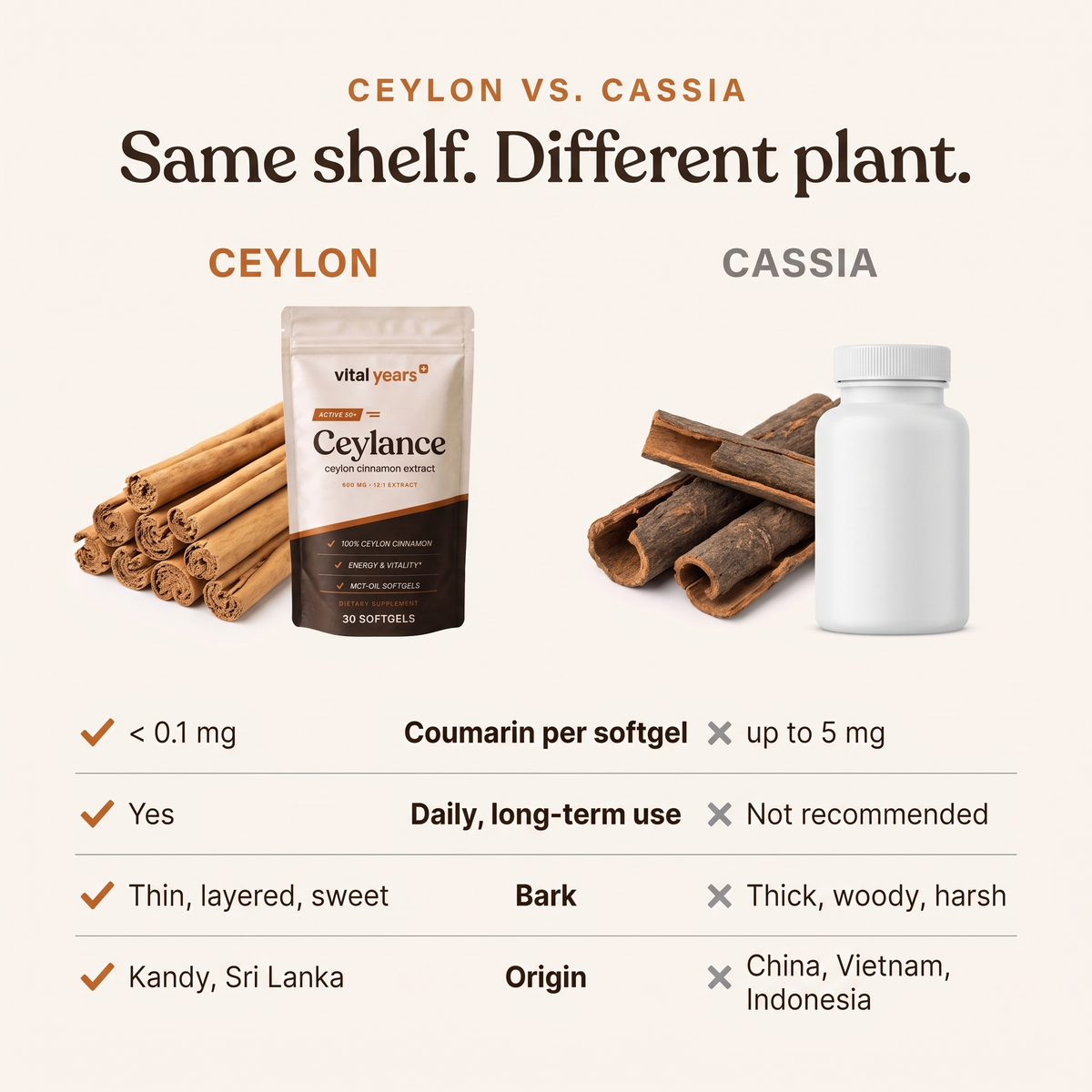 Ceylon vs. cassia comparison